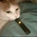 @harryb3107
