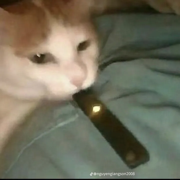 @harryb3107