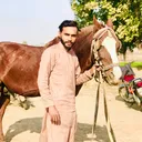 @ashir8200