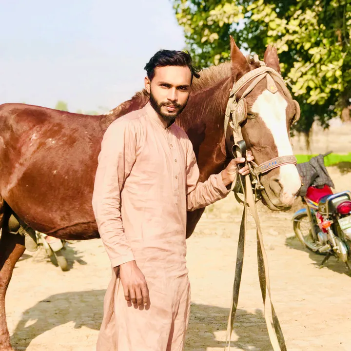 @ashir8200