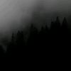 navikiller_bs