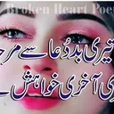 @user800215260