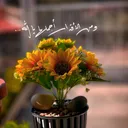@saraowayza