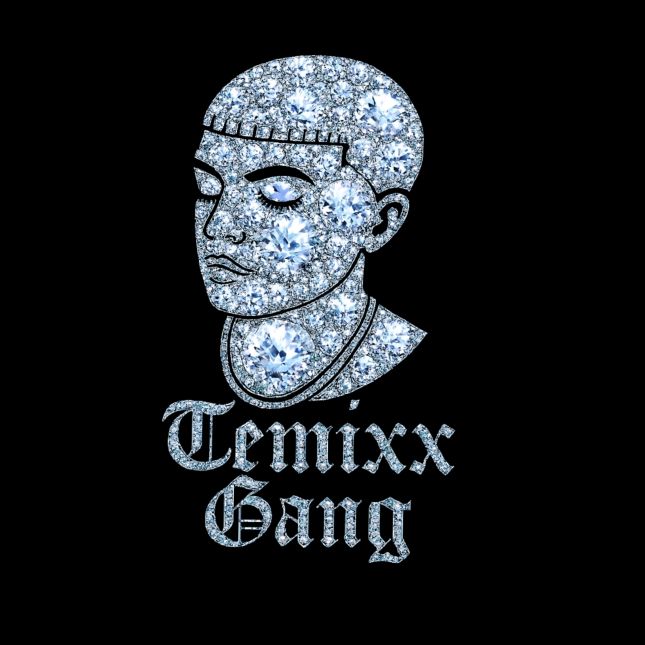 𝑇𝐸𝑀𝐼𝑋𝑋🥷🏻‼️ - original sound