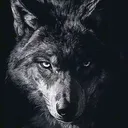 @malik.ejder1
