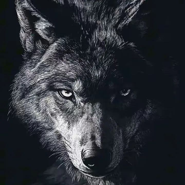 @malik.ejder1
