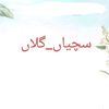 binawaseem080