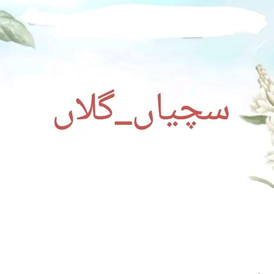 binawaseem080