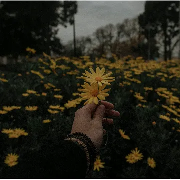 @zindagikibaat0