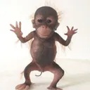 @mattwifhat
