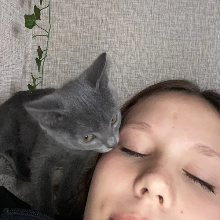 @viktore105