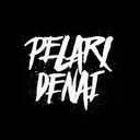 @pelaridenai
