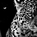 @twinkle78000