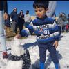 skaur6