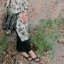 @ajwarajpoot74
