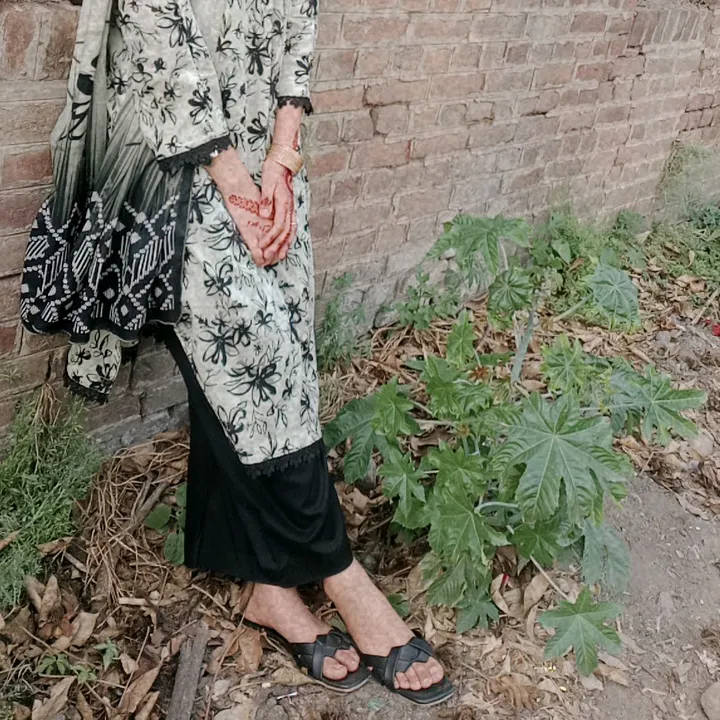 ajwarajpoot74