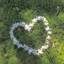 @folkorr