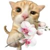 avelunie_
