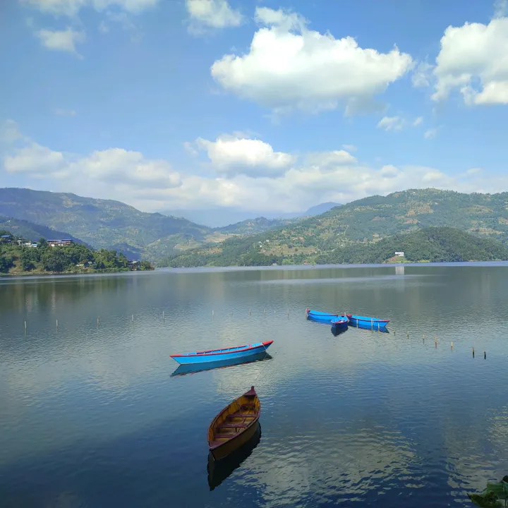 bardiyaklaunada0