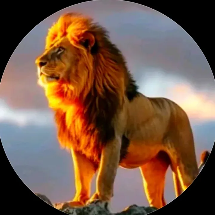 @shahzaib_ali_chef