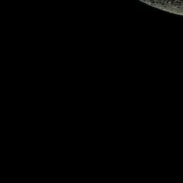betul.4demir
