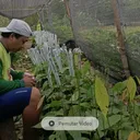 @wayanrene