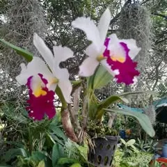 @user9234141239813