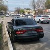 __karabulak__