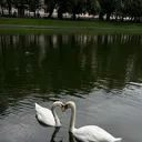 @valentinablossom15