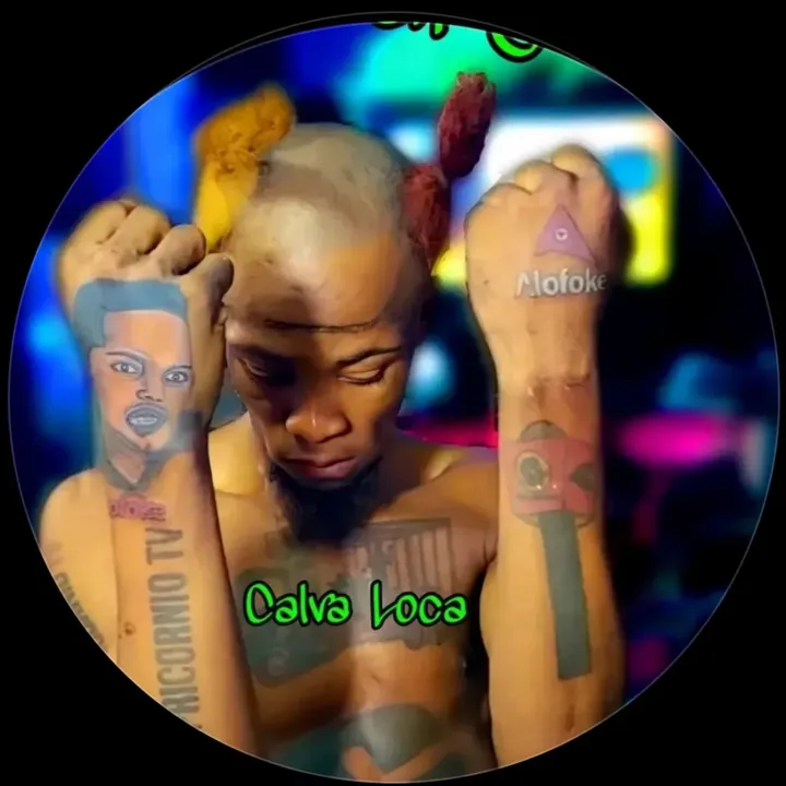 calvalocatvoficial1