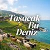 tasacakbudenizdizi