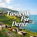 @tasacakbudenizdizi