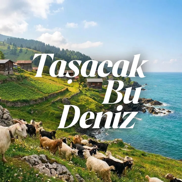 @tasacakbudenizdizi