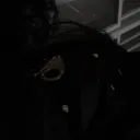 @wheredahoesat204