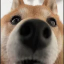 @jojoasmr9999