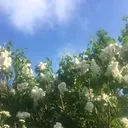 @mitsuki._.m0on