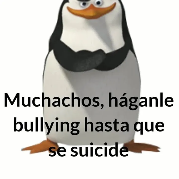 skipperconcance