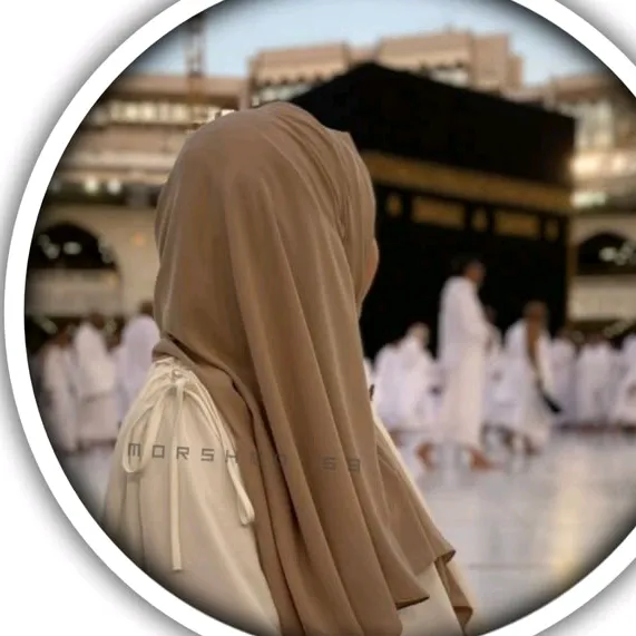 @noha17l
