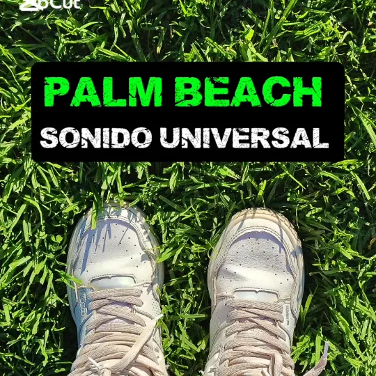 palmbeach.026
