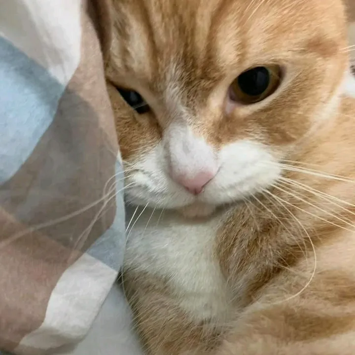 @pun.pun2971