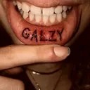 @galzygp_