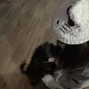 @sickeninglythegoat