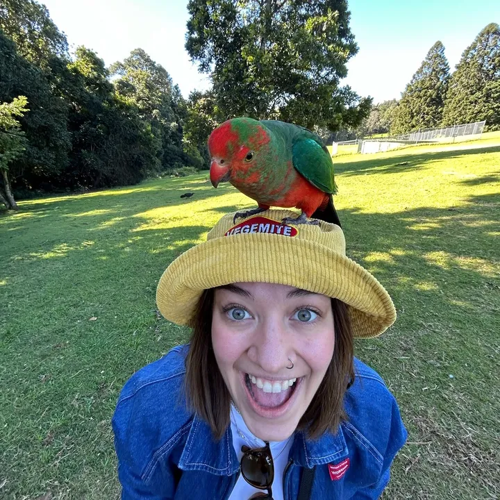 bloody.bonkers_travel