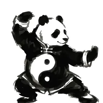 xiongmao.taijiquan
