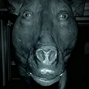 @usenamer830