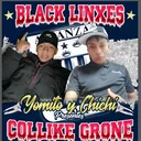 @black.linxes.1993