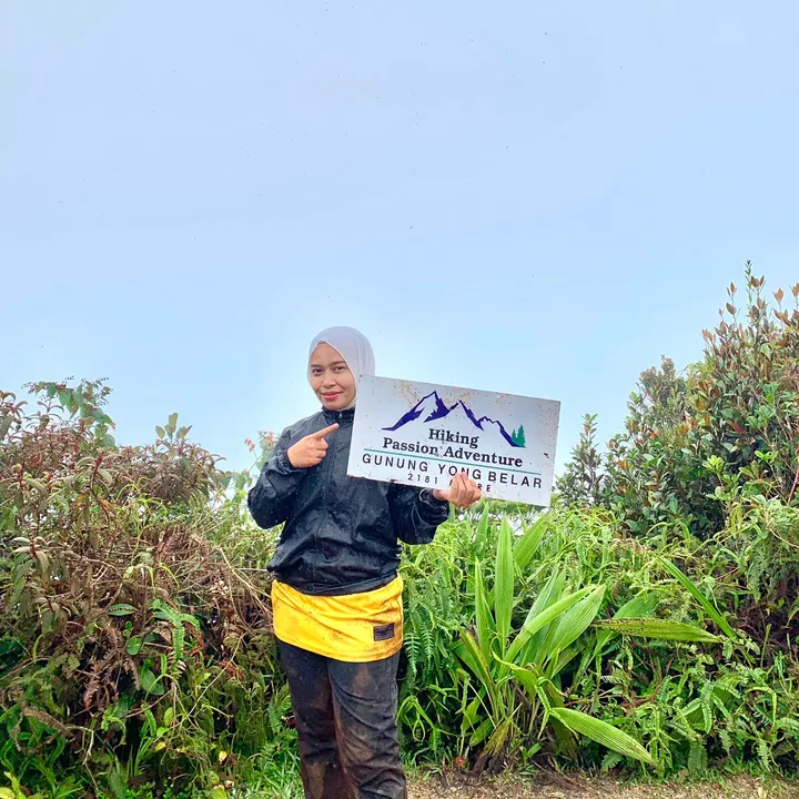 @dinginlavender