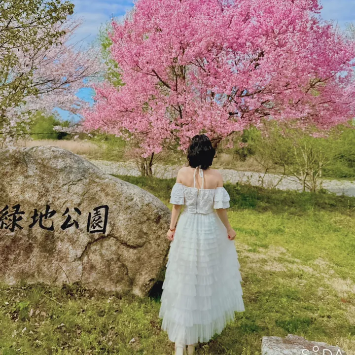 kinokochan97