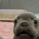 @briiswx