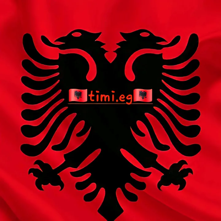 @timi.eg